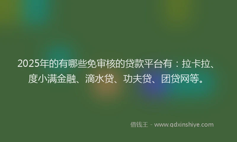2025年的有哪些免审核的贷款平台有：拉卡拉、度小满金融、滴水贷、功夫贷、团贷网等。
