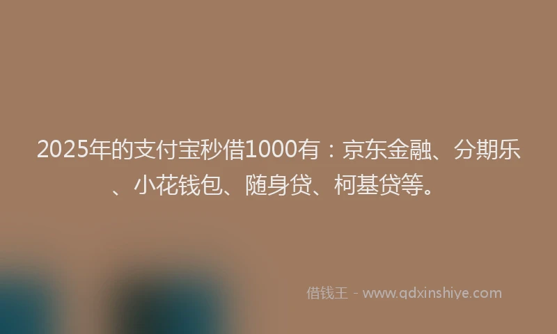 2025年的支付宝秒借1000有：京东金融、分期乐、小花钱包、随身贷、柯基贷等。