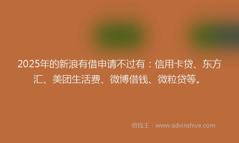 2025年的新浪有借申请不过有：信用卡贷、东方汇、美团生活费、微博借钱、微粒贷等。