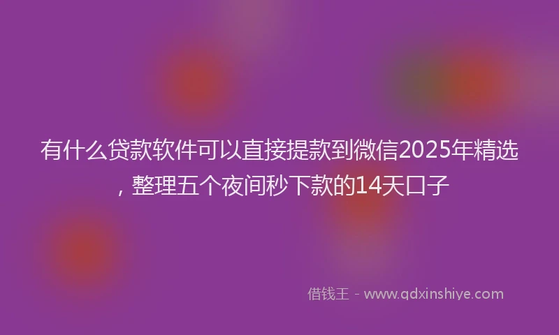 有什么贷款软件可以直接提款到微信2025年精选，整理五个夜间秒下款的14天口子