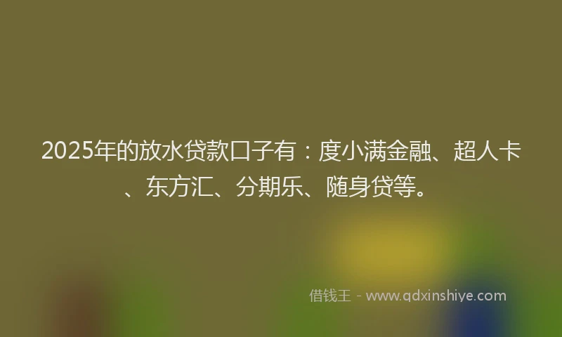 2025年的放水贷款口子有：度小满金融、超人卡、东方汇、分期乐、随身贷等。
