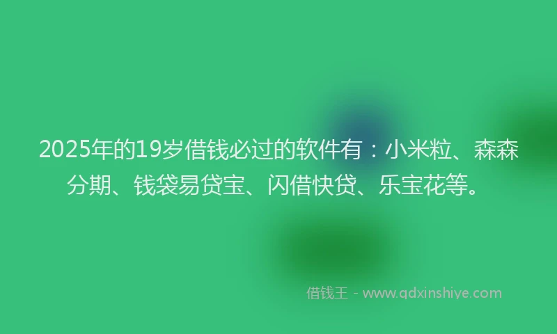 2025年的19岁借钱必过的软件有：小米粒、森森分期、钱袋易贷宝、闪借快贷、乐宝花等。