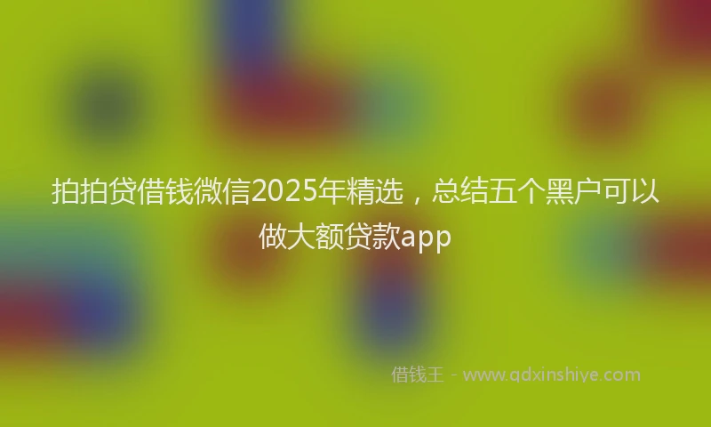 拍拍贷借钱微信2025年精选，总结五个黑户可以做大额贷款app