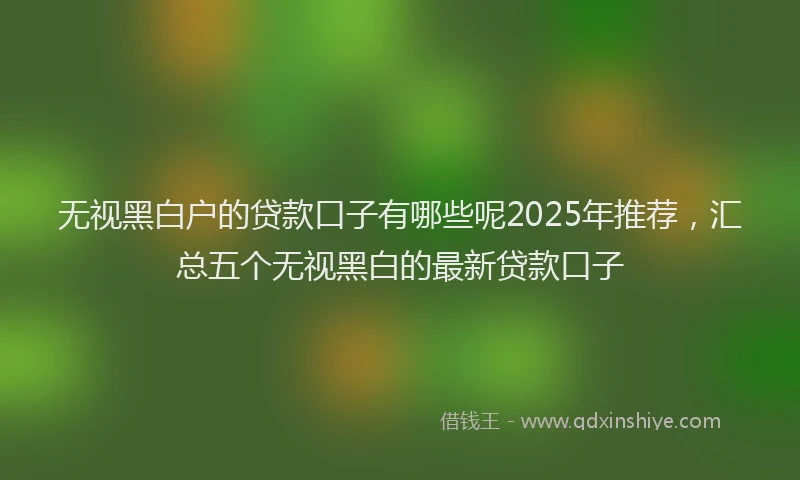 无视黑白户的贷款口子有哪些呢2025年推荐，汇总五个无视黑白的最新贷款口子