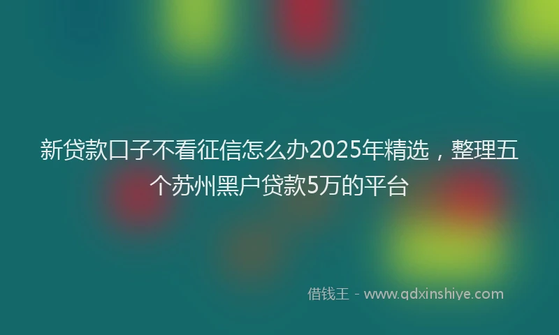 新贷款口子不看征信怎么办2025年精选，整理五个苏州黑户贷款5万的平台
