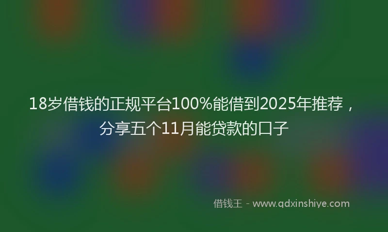 18岁借钱的正规平台100%能借到2025年推荐，分享五个11月能贷款的口子