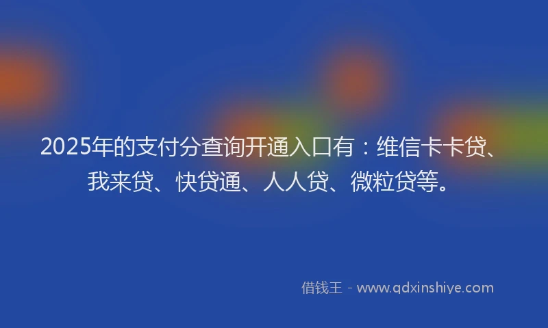 2025年的支付分查询开通入口有：维信卡卡贷、我来贷、快贷通、人人贷、微粒贷等。