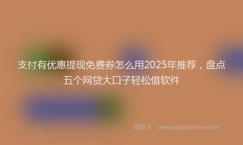 支付有优惠提现免费券怎么用2025年推荐，盘点五个网贷大口子轻松借软件