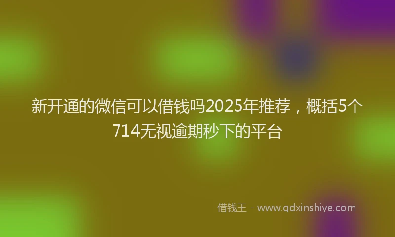 新开通的微信可以借钱吗2025年推荐，概括5个714无视逾期秒下的平台