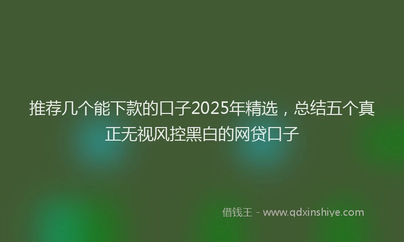 推荐几个能下款的口子2025年精选，总结五个真正无视风控黑白的网贷口子