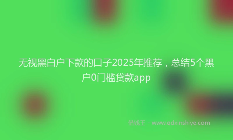 无视黑白户下款的口子2025年推荐，总结5个黑户0门槛贷款app