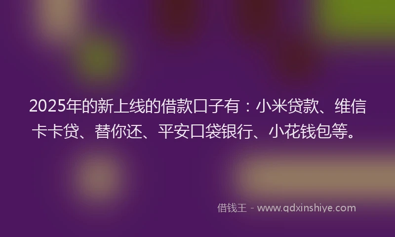2025年的新上线的借款口子有：小米贷款、维信卡卡贷、替你还、平安口袋银行、小花钱包等。