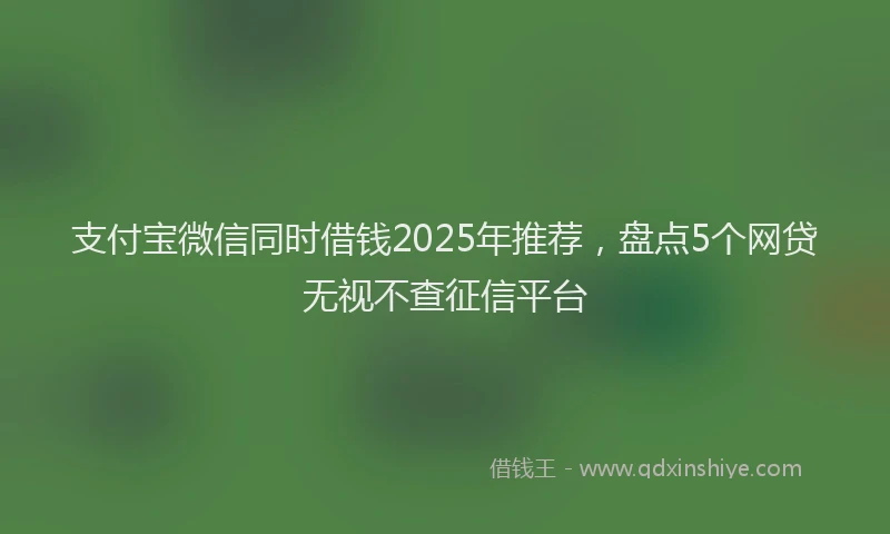 支付宝微信同时借钱2025年推荐，盘点5个网贷无视不查征信平台