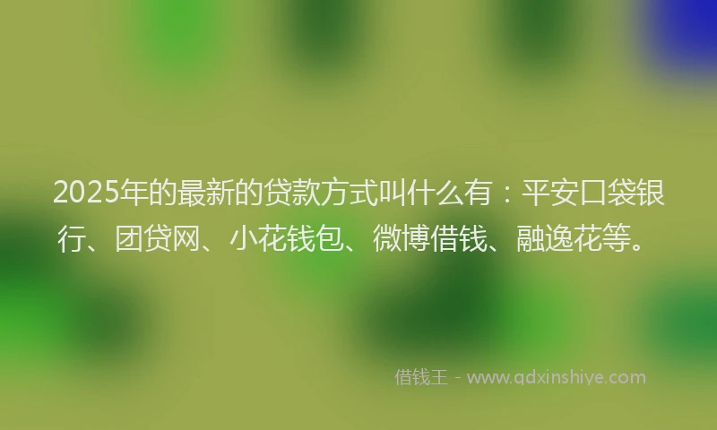 2025年的最新的贷款方式叫什么有：平安口袋银行、团贷网、小花钱包、微博借钱、融逸花等。