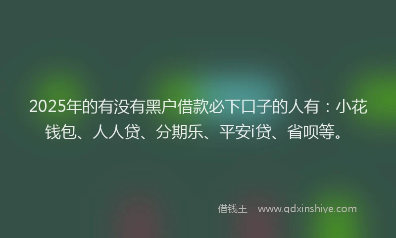 2025年的有没有黑户借款必下口子的人有：小花钱包、人人贷、分期乐、平安i贷、省呗等。