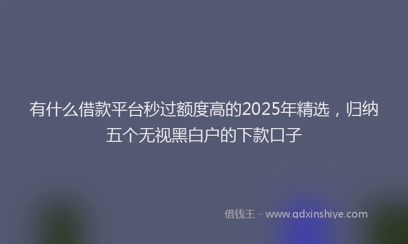 有什么借款平台秒过额度高的2025年精选，归纳五个无视黑白户的下款口子