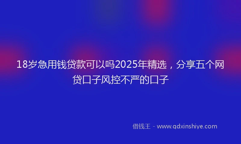18岁急用钱贷款可以吗2025年精选，分享五个网贷口子风控不严的口子