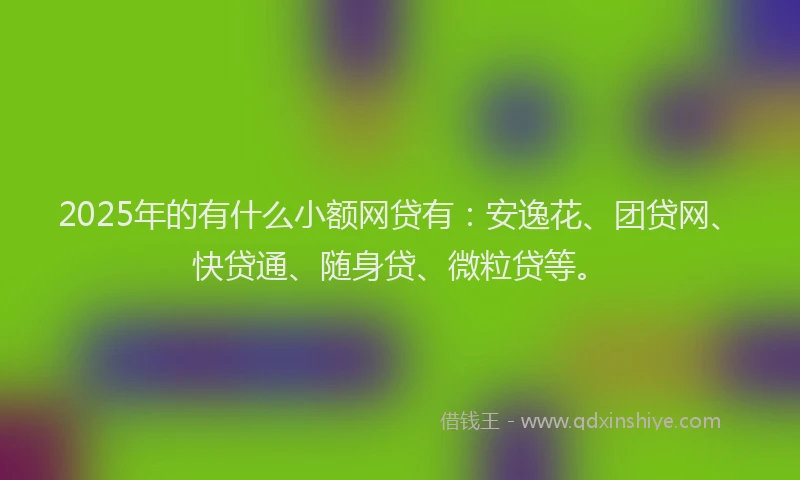 2025年的有什么小额网贷有：安逸花、团贷网、快贷通、随身贷、微粒贷等。
