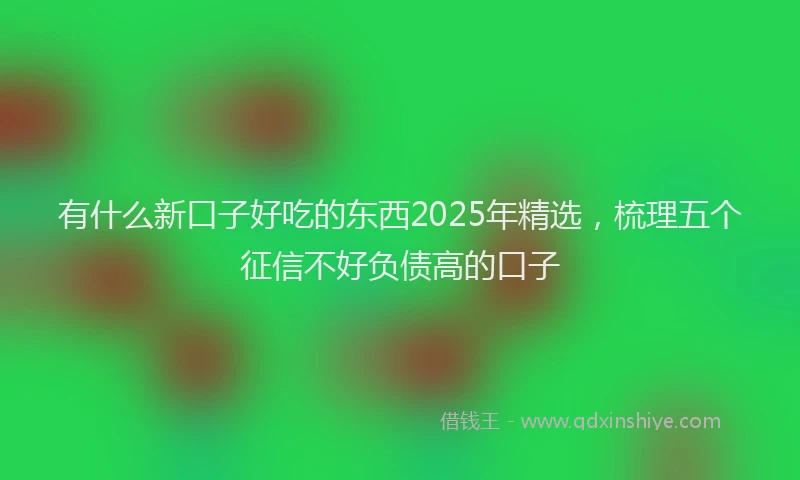 有什么新口子好吃的东西2025年精选，梳理五个征信不好负债高的口子
