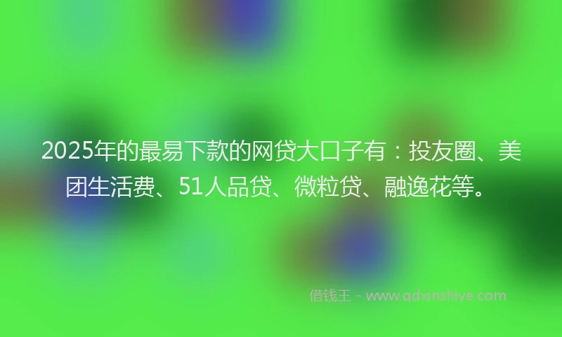 2025年的最易下款的网贷大口子有：投友圈、美团生活费、51人品贷、微粒贷、融逸花等。