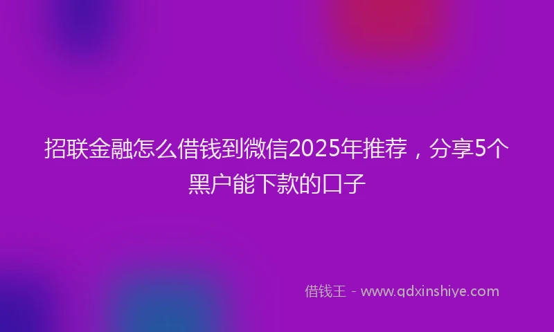招联金融怎么借钱到微信2025年推荐，分享5个黑户能下款的口子