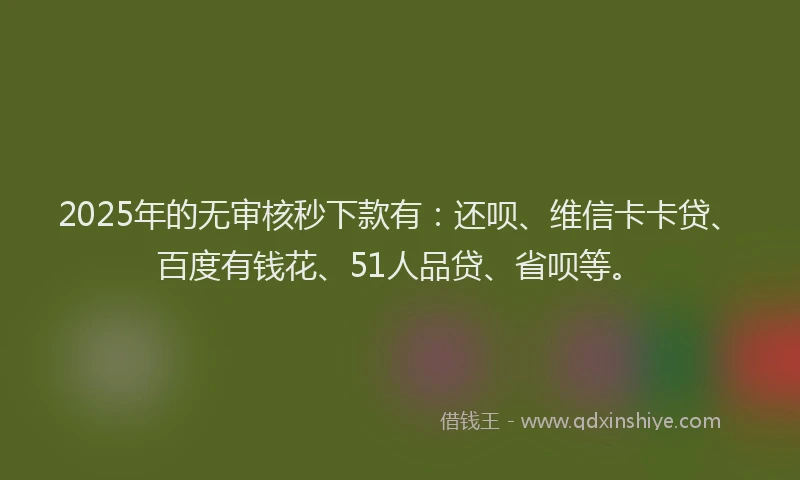 2025年的无审核秒下款有：还呗、维信卡卡贷、百度有钱花、51人品贷、省呗等。