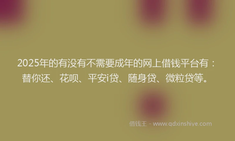 2025年的有没有不需要成年的网上借钱平台有：替你还、花呗、平安i贷、随身贷、微粒贷等。
