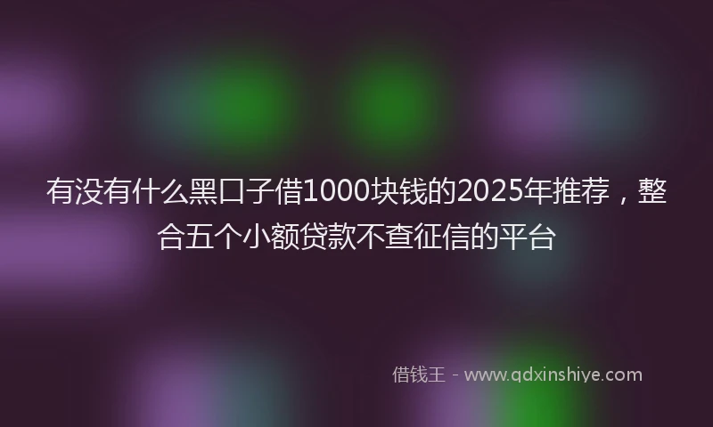 有没有什么黑口子借1000块钱的2025年推荐，整合五个小额贷款不查征信的平台