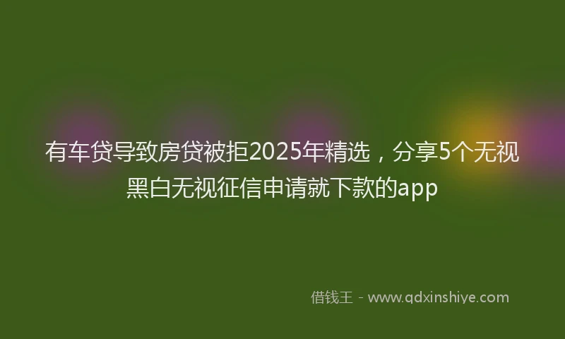 有车贷导致房贷被拒2025年精选，分享5个无视黑白无视征信申请就下款的app