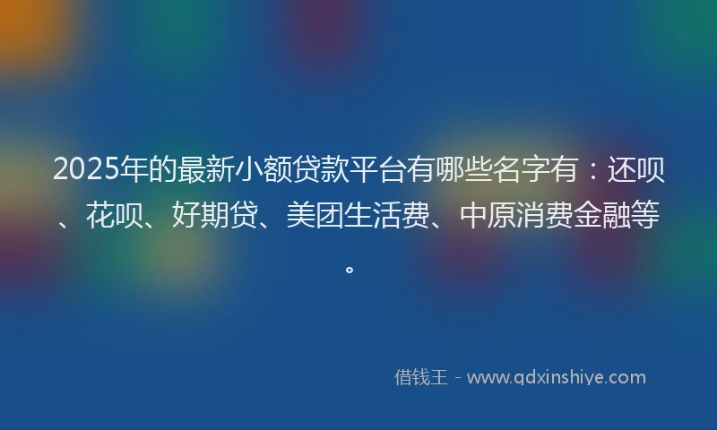 2025年的最新小额贷款平台有哪些名字有：还呗、花呗、好期贷、美团生活费、中原消费金融等。