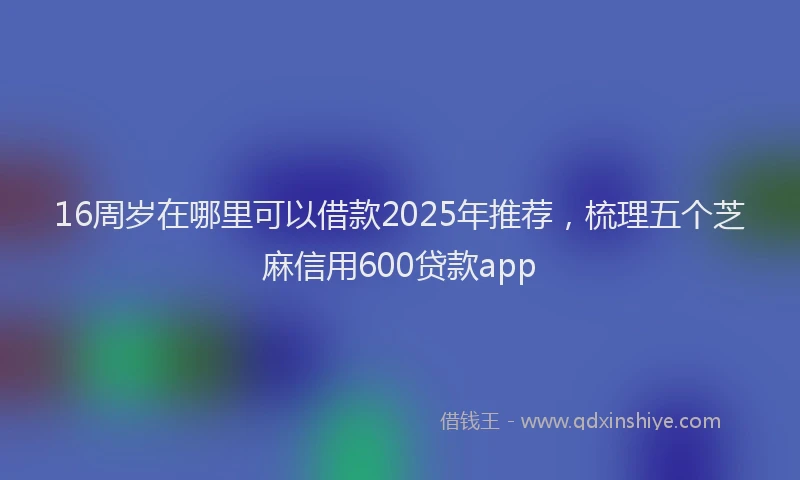 16周岁在哪里可以借款2025年推荐，梳理五个芝麻信用600贷款app