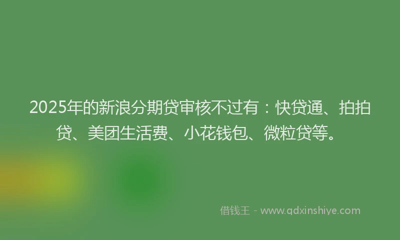 2025年的新浪分期贷审核不过有：快贷通、拍拍贷、美团生活费、小花钱包、微粒贷等。