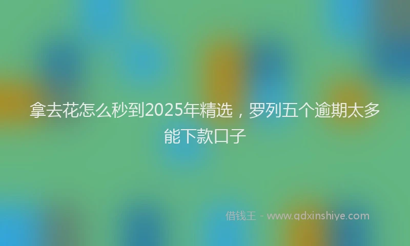 拿去花怎么秒到2025年精选，罗列五个逾期太多能下款口子