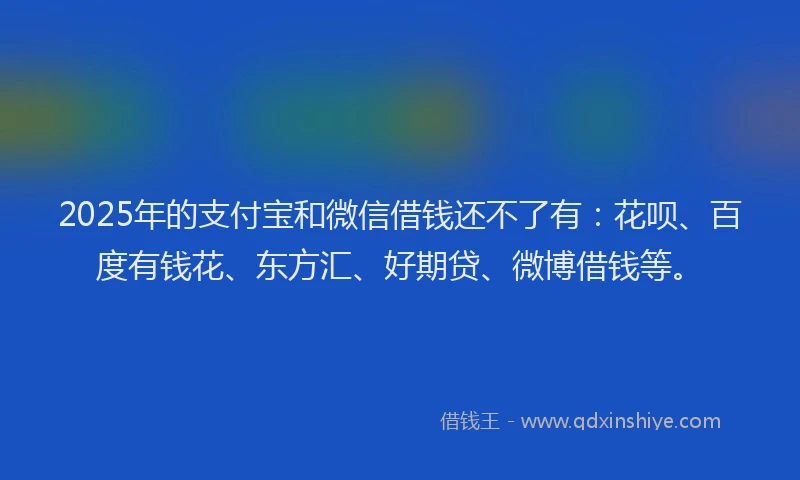 2025年的支付宝和微信借钱还不了有：花呗、百度有钱花、东方汇、好期贷、微博借钱等。