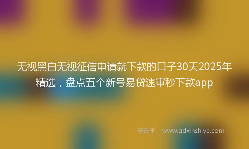 无视黑白无视征信申请就下款的口子30天2025年精选，盘点五个新号易贷速审秒下款app