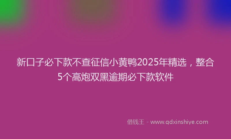 新口子必下款不查征信小黄鸭2025年精选，整合5个高炮双黑逾期必下款软件