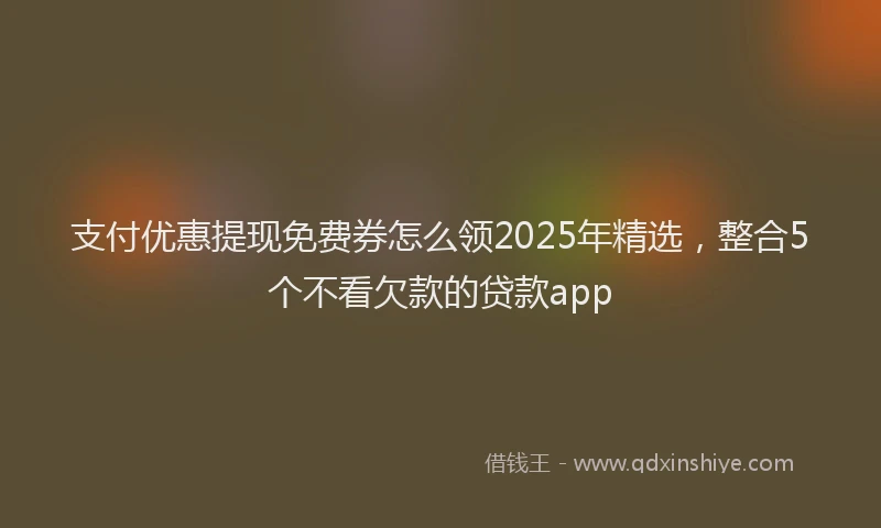 支付优惠提现免费券怎么领2025年精选，整合5个不看欠款的贷款app