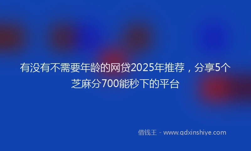 有没有不需要年龄的网贷2025年推荐，分享5个芝麻分700能秒下的平台