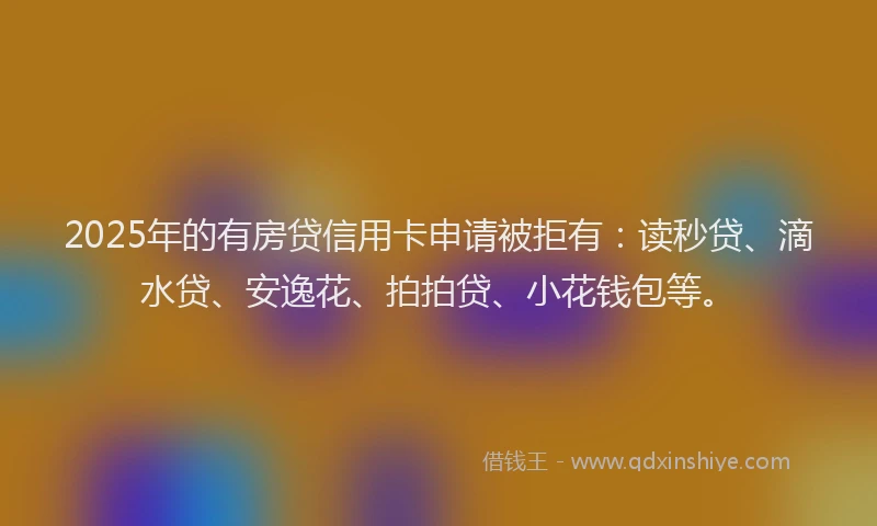 2025年的有房贷信用卡申请被拒有：读秒贷、滴水贷、安逸花、拍拍贷、小花钱包等。