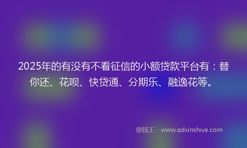 2025年的有没有不看征信的小额贷款平台有：替你还、花呗、快贷通、分期乐、融逸花等。