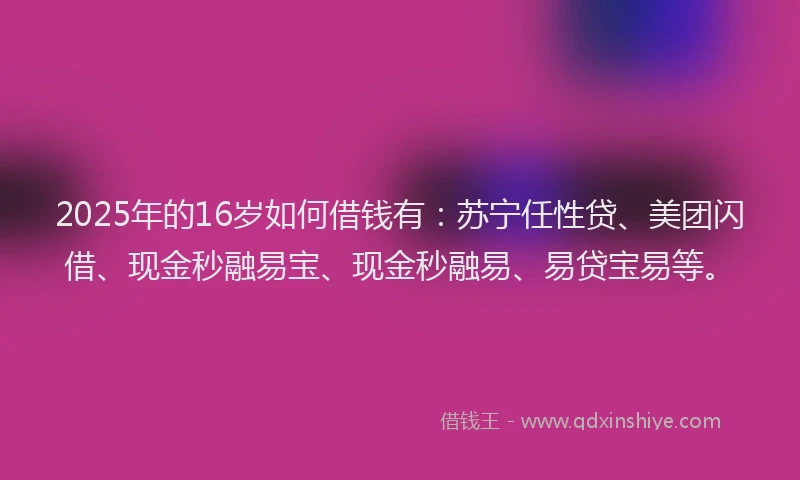 2025年的16岁如何借钱有：苏宁任性贷、美团闪借、现金秒融易宝、现金秒融易、易贷宝易等。