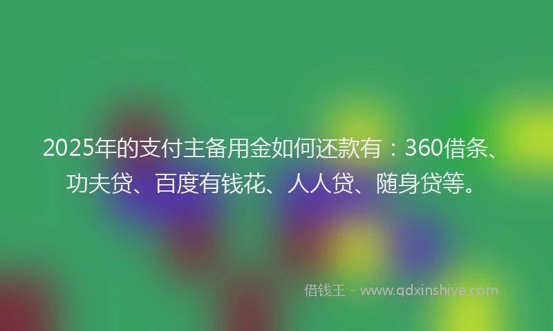 2025年的支付主备用金如何还款有：360借条、功夫贷、百度有钱花、人人贷、随身贷等。