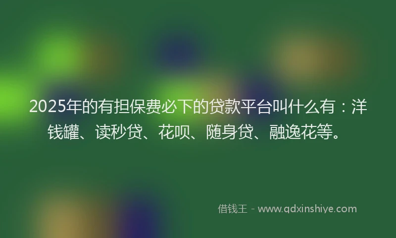2025年的有担保费必下的贷款平台叫什么有：洋钱罐、读秒贷、花呗、随身贷、融逸花等。