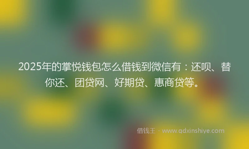 2025年的掌悦钱包怎么借钱到微信有：还呗、替你还、团贷网、好期贷、惠商贷等。