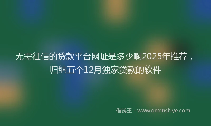 无需征信的贷款平台网址是多少啊2025年推荐，归纳五个12月独家贷款的软件