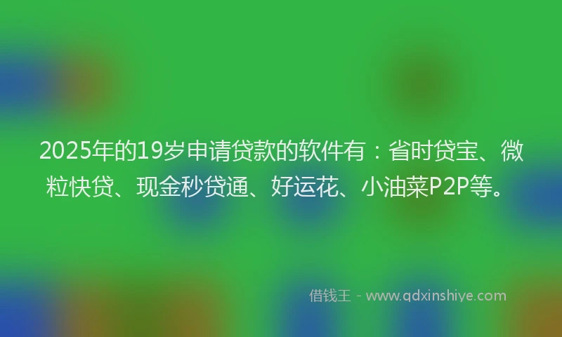 2025年的19岁申请贷款的软件有：省时贷宝、微粒快贷、现金秒贷通、好运花、小油菜P2P等。