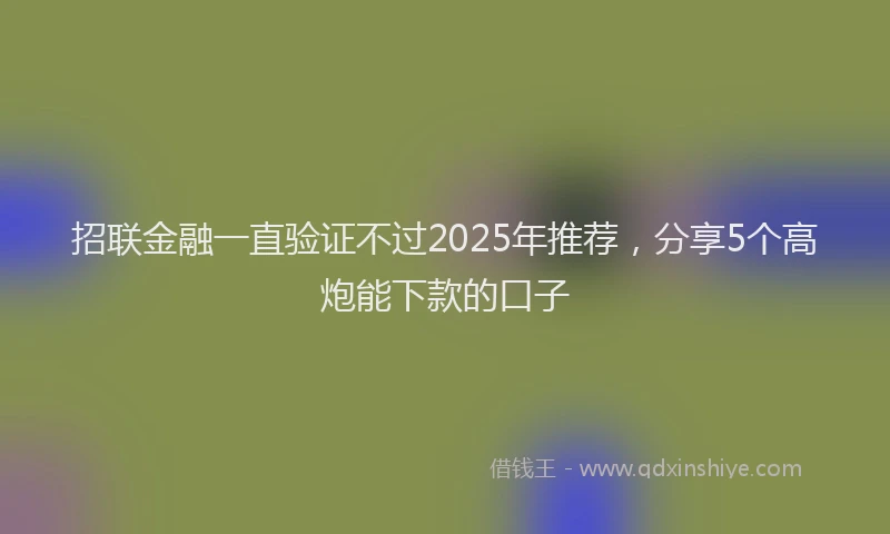 招联金融一直验证不过2025年推荐，分享5个高炮能下款的口子