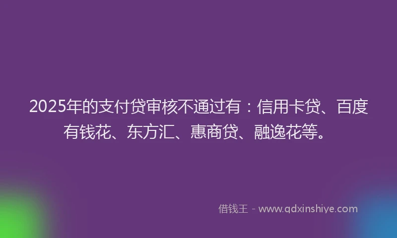 2025年的支付贷审核不通过有：信用卡贷、百度有钱花、东方汇、惠商贷、融逸花等。