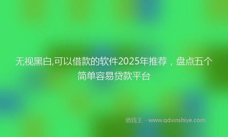 无视黑白,可以借款的软件2025年推荐，盘点五个简单容易贷款平台