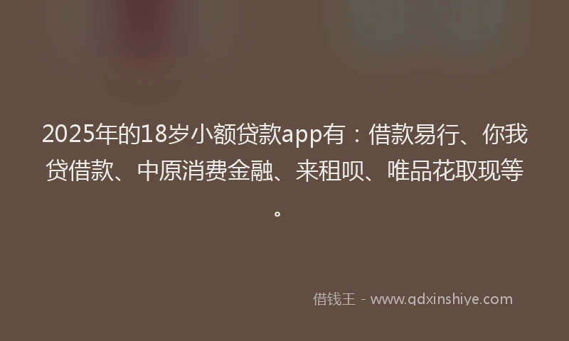 2025年的18岁小额贷款app有：借款易行、你我贷借款、中原消费金融、来租呗、唯品花取现等。